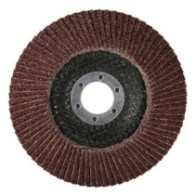 Ściernica listkowa talerzowa PRO-X